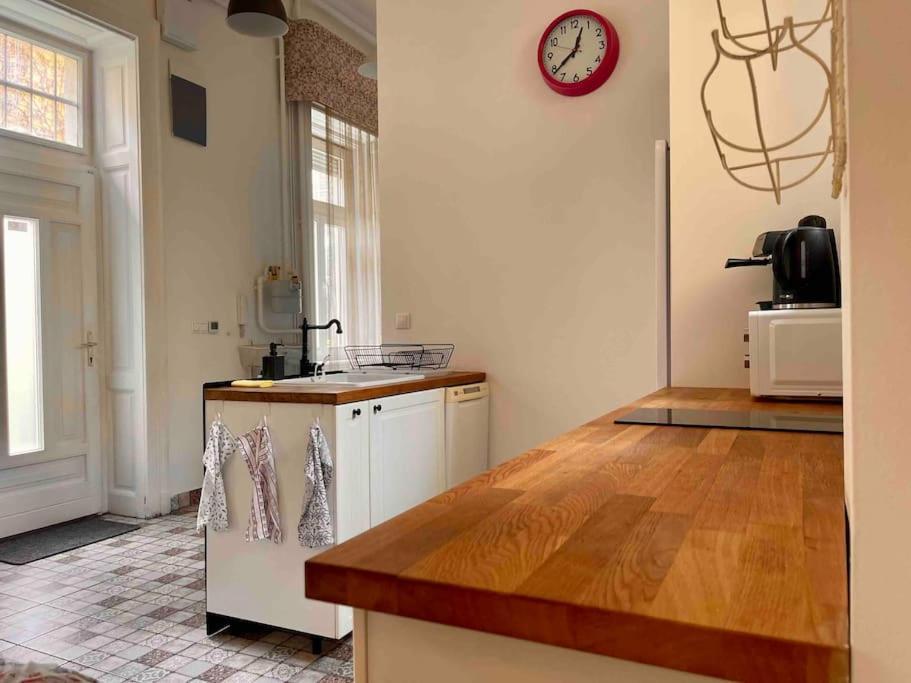 Knezits Spacious Ac Terrace Free Parking Boedapest Buitenkant foto