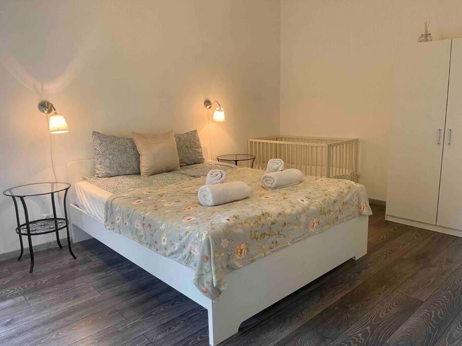 Knezits Spacious Ac Terrace Free Parking Boedapest Buitenkant foto