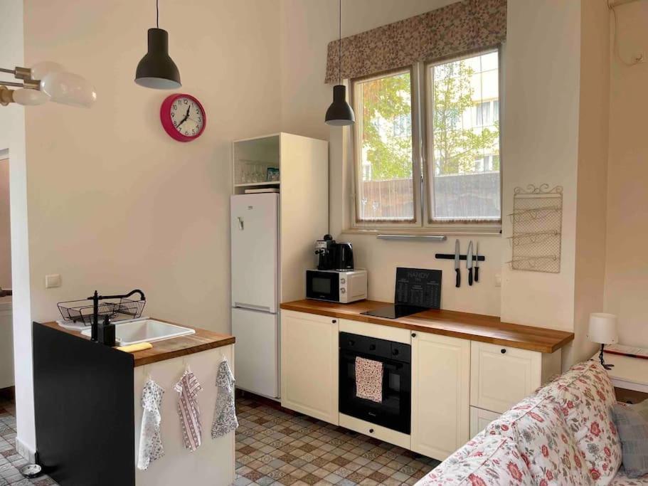 Knezits Spacious Ac Terrace Free Parking Boedapest Buitenkant foto